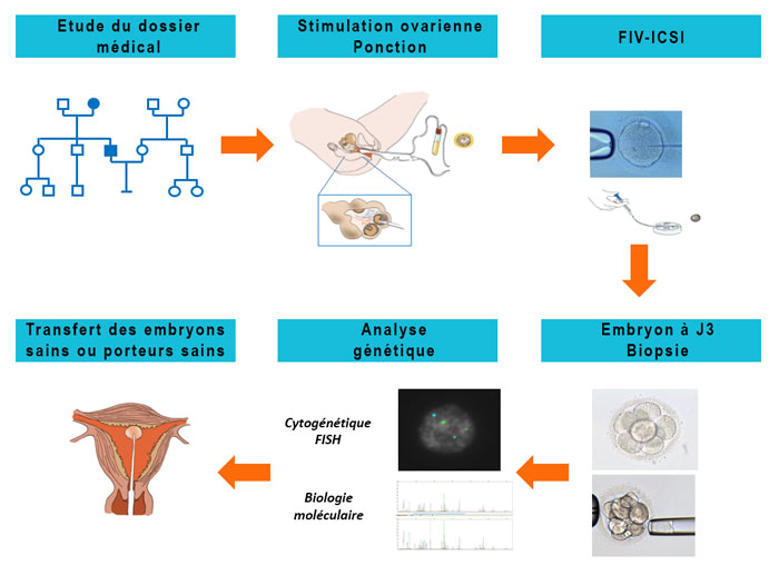 Diagnostic médical : les étapes