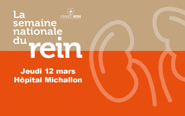 Journée du rein 2026