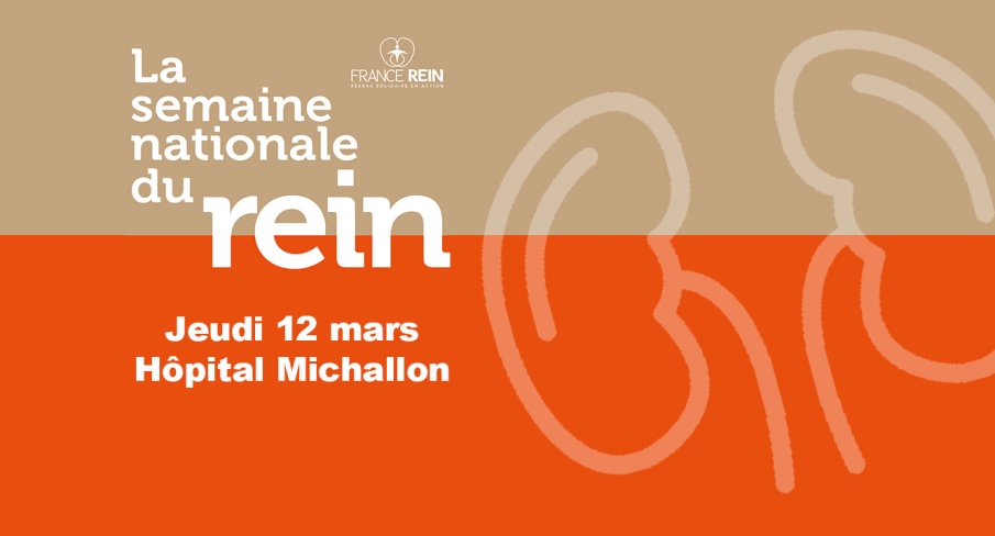 Journée du rein 2026