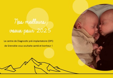 Le DPI vous présente ses meilleurs voeux 2025